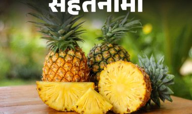 सेहतनामा- अनानास खाने से दूर होता इंफ्लेमेशन:15 औषधीय गुण, विटामिन C का खजाना, डॉक्टर से जानें किसे नहीं खाना चाहिए