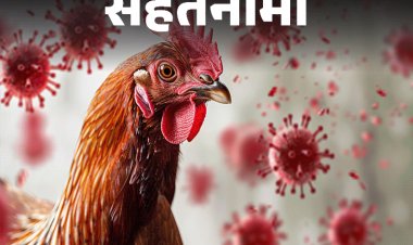 सेहतनामा- महाराष्ट्र, आंध्र प्रदेश में फैल रहा बर्ड फ्लू:किन लोगों को इसका रिस्क ज्यादा, डॉक्टर से जानें, बचाव और सावधानियां