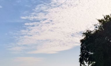 अशोकनगर में छाए बादल:तापमान 30.2 डिग्री पर स्थिर; न्यूनतम पारा 12.5 डिग्री दर्ज