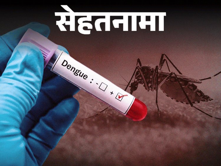 सेहतनामा- एक साल में दोगुने से ज्यादा हुए डेंगू केस:भारत में गर्मी बढ़ने से बढ़ रहा खतरा, डॉक्टर से जानें हर जरूरी सवाल का जवाब