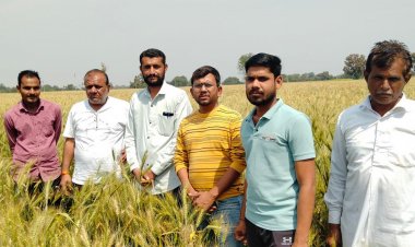 समर्थन मूल्य पर गेहूं की खरीदी शुरू:किसान बोले- फसल को पकने में लगेंगे 15-20 दिन; मिलेगा कम समय