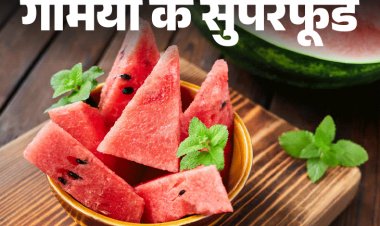 गर्मियों के सुपरफूड- तरबूज में है 91% पानी:नहीं बढ़ाता शुगर, शरीर को रखता हाइड्रेटेड, कितना खाएं, किन लोगों को नहीं खाना चाहिए