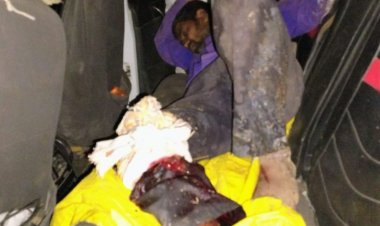 शाजापुर में वाहन ने बाइक को मारी टक्कर:एक घायल, बुमतलाई माता मंदिर के पास हुआ हादसा